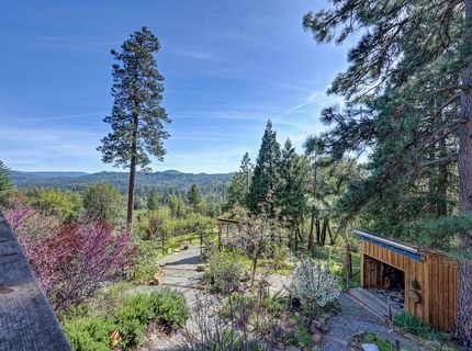 19736 Jesus Maria, Mokelumne Hill, CA 95245 Photo