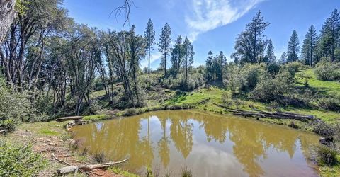 19736 Jesus Maria, Mokelumne Hill, CA 95245 Photo