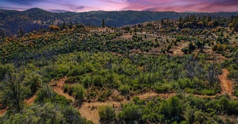 19736 Jesus Maria, Mokelumne Hill, CA 95245 Photo