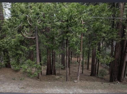 3099 Apache Rd, Dorrington, CA 95223 Photo