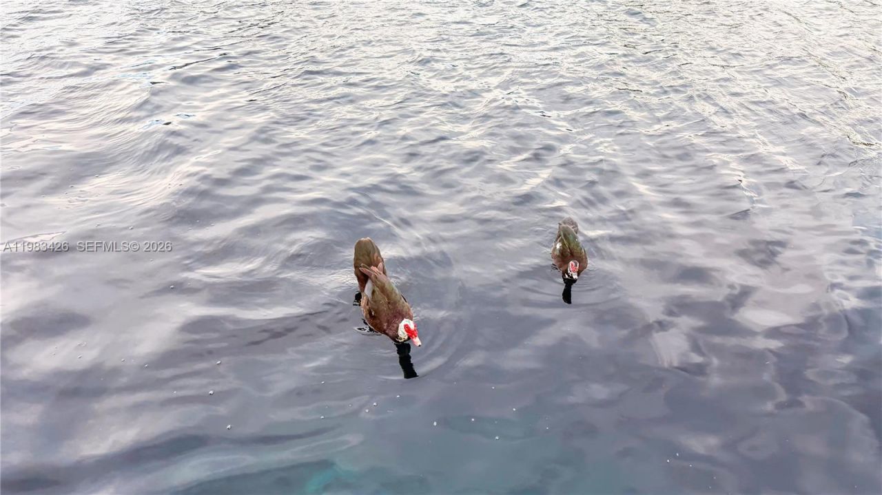 6610 E Miami Lakes Dr, Miami Lakes, FL 33014 Photo