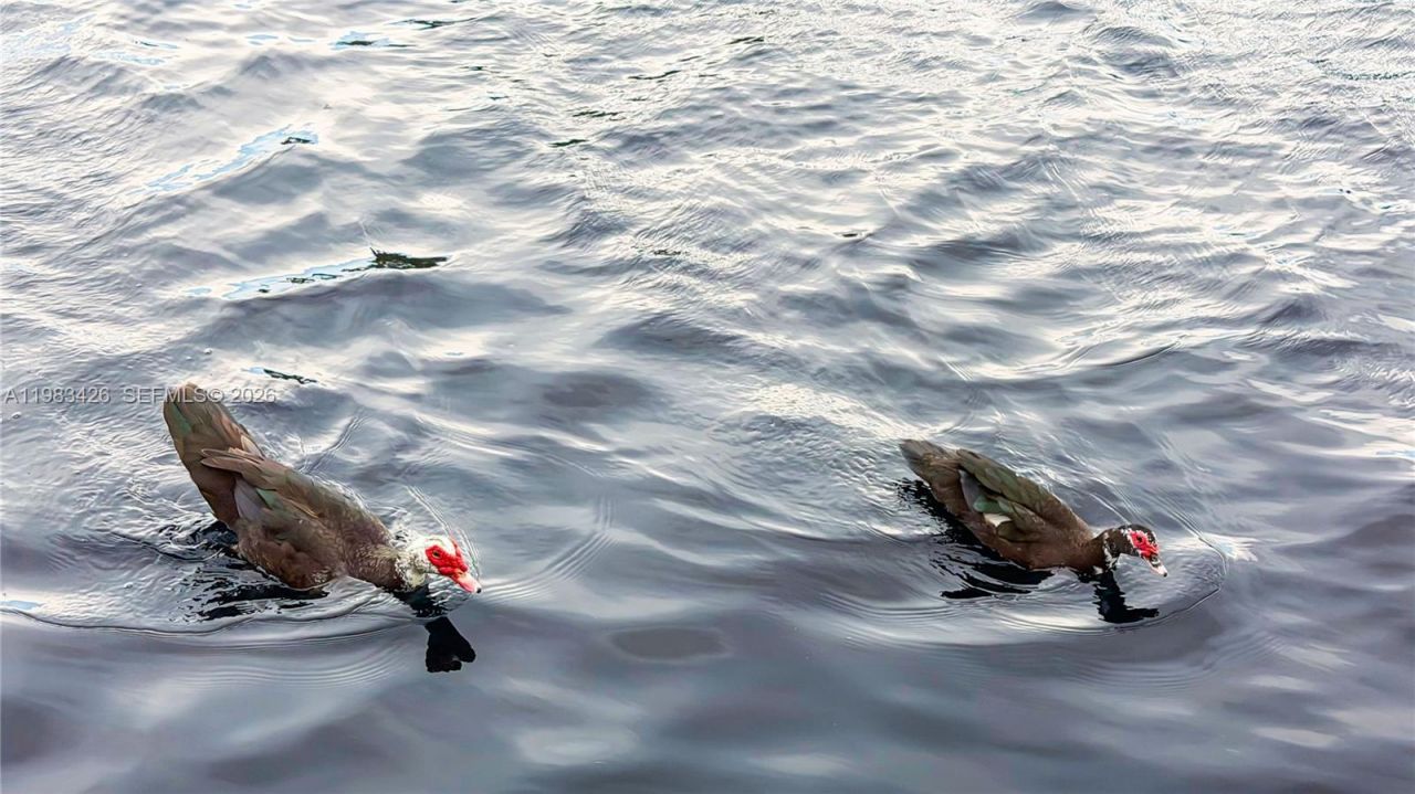 6610 E Miami Lakes Dr, Miami Lakes, FL 33014 Photo