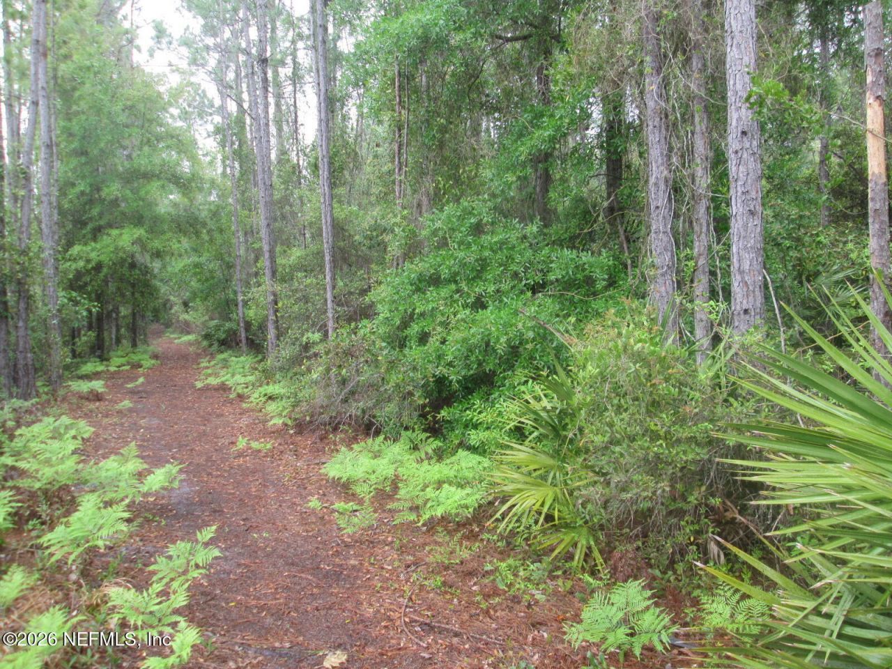 555 State Road 16, Saint Augustine, FL 32084 Photo