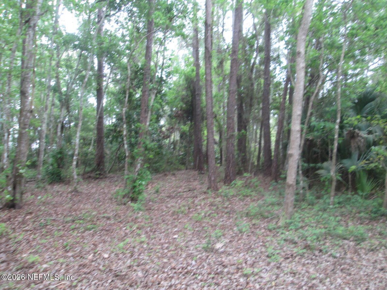 555 State Road 16, Saint Augustine, FL 32084 Photo