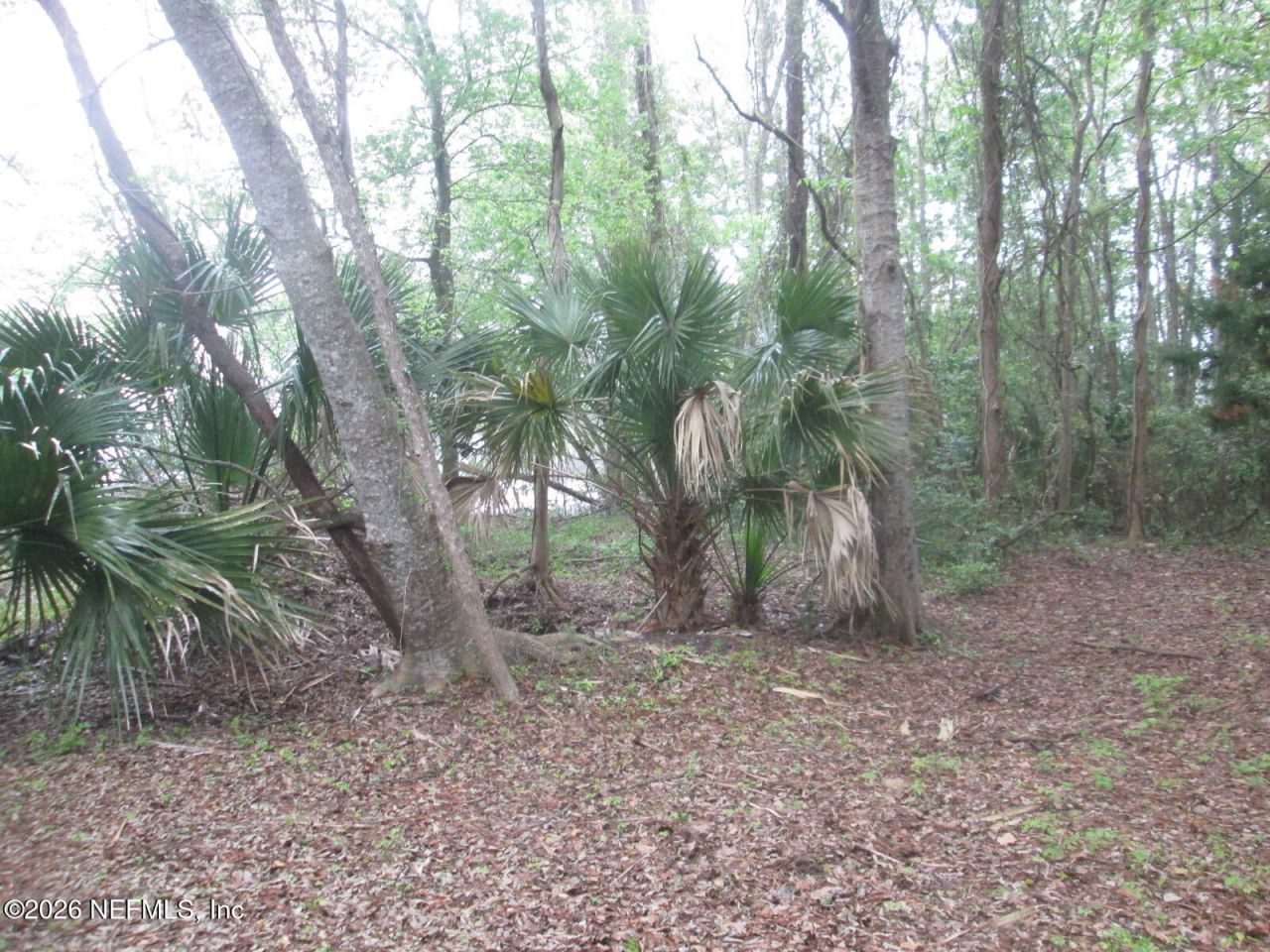 555 State Road 16, Saint Augustine, FL 32084 Photo