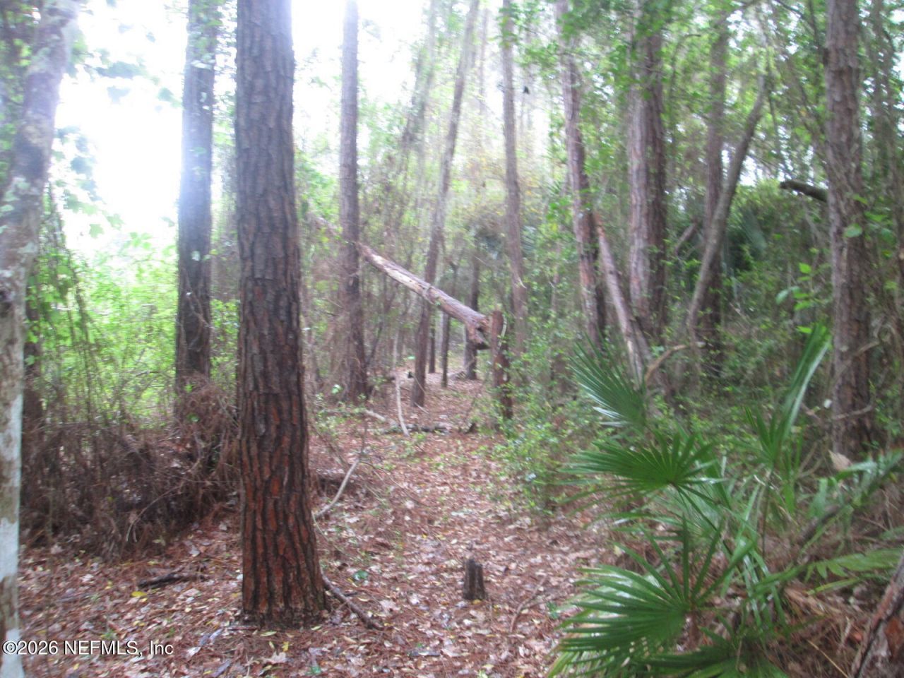 555 State Road 16, Saint Augustine, FL 32084 Photo