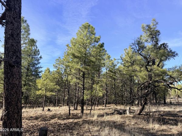 2397 Wigeon Way, Unit 6, Happy Jack, AZ 86024