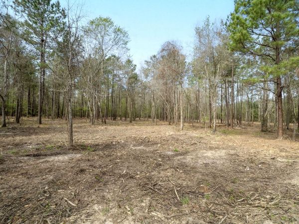 Jarrell Loop, Evans, LA 70639