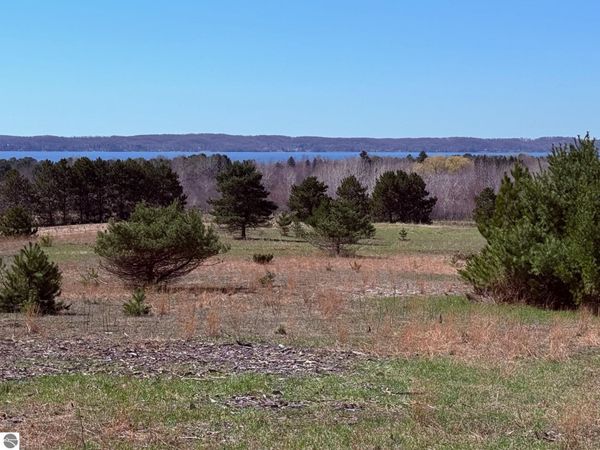 Helena Road, Alden, MI 49612