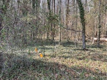 0 Laurel Park Road, Essex, VA 22560