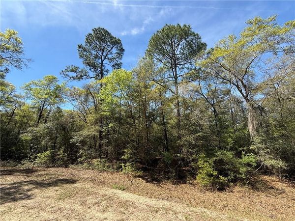 0 (Lot 4) Deer Court, Waverly, GA 31565
