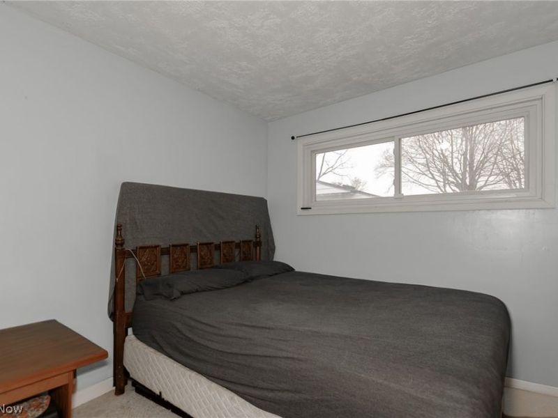 7165 Anthony Court, Madison, OH 44057 Photo 19