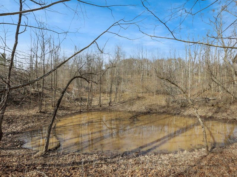 6410 Smith Run Road, Glouster, OH 45732 Photo 61