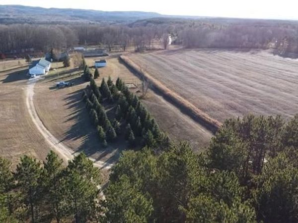 7313 W 12 1/2 Road, Mesick, MI 49668