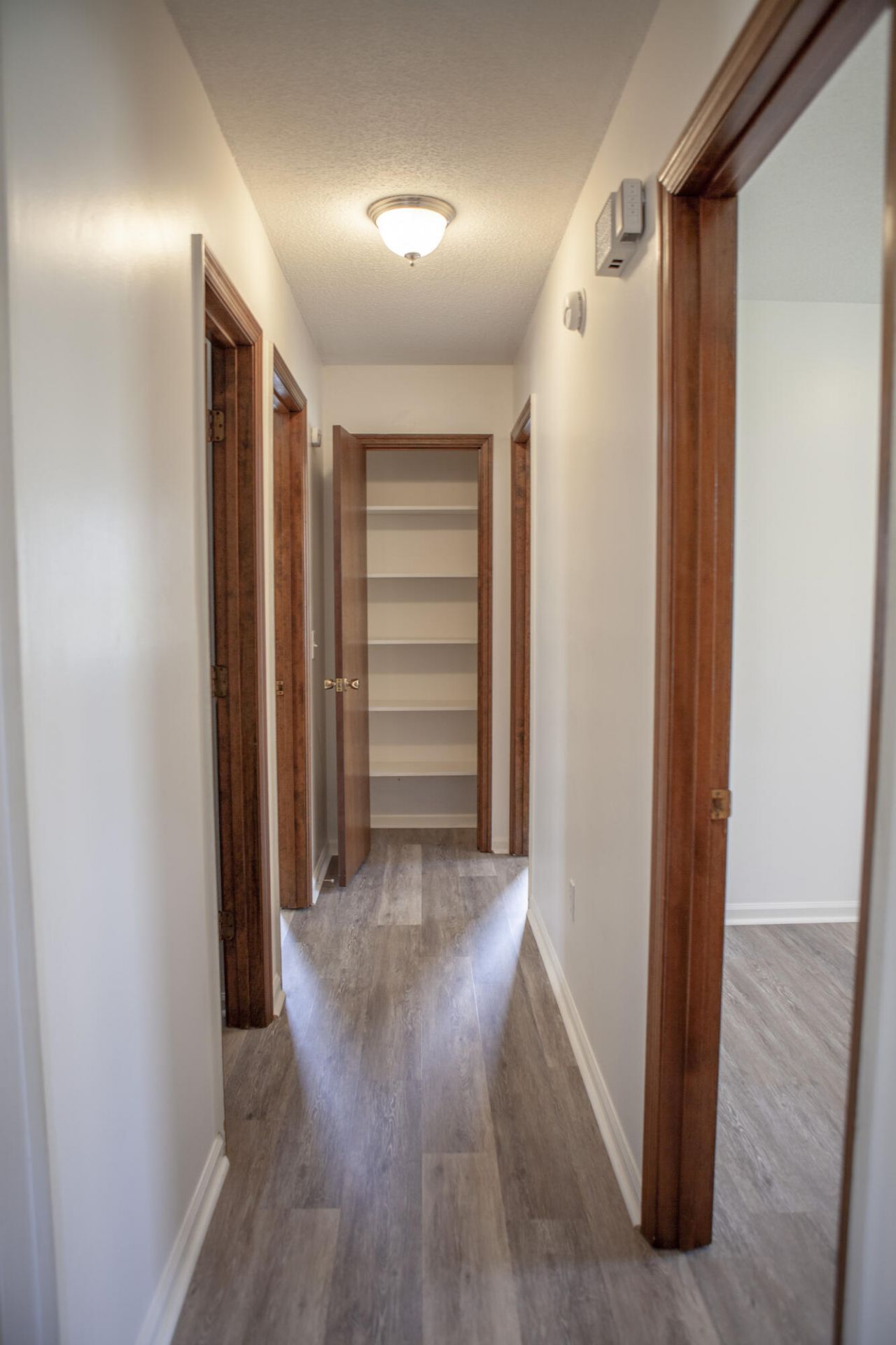 138 Pawley Drive Photo 9