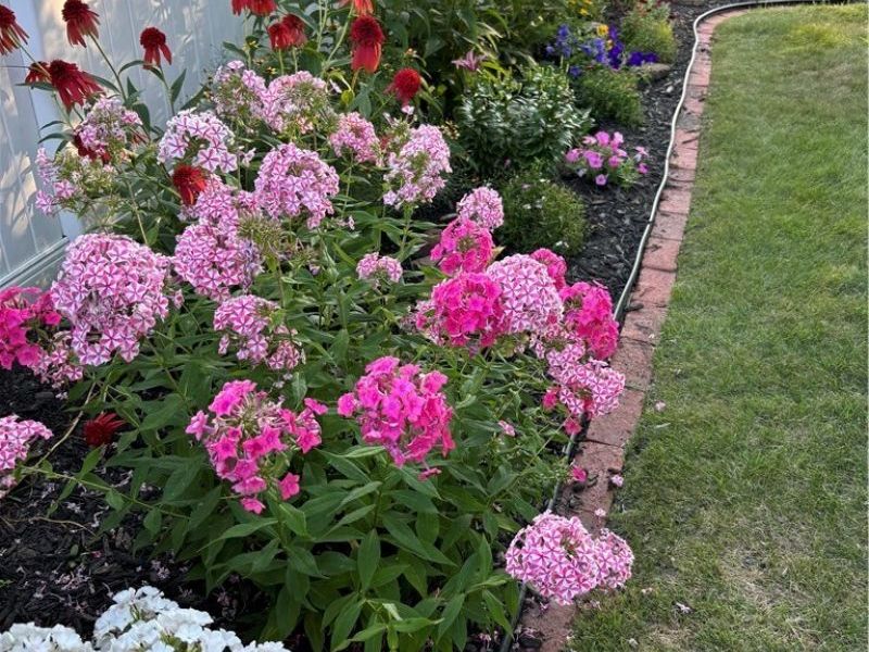 6188 Barbara Lane, Brook Park, OH 44142 Photo 3