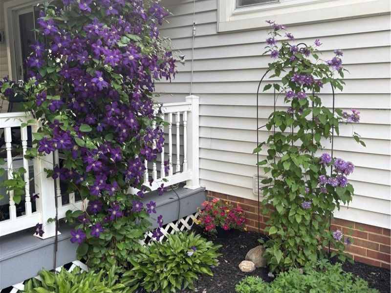 6188 Barbara Lane, Brook Park, OH 44142 Photo 30