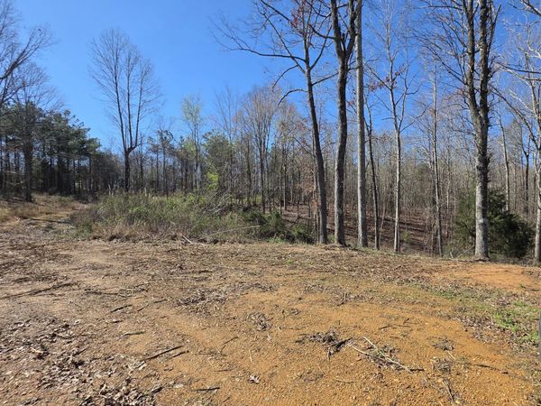 9770 State Route 100 E, Reagan, TN 38368