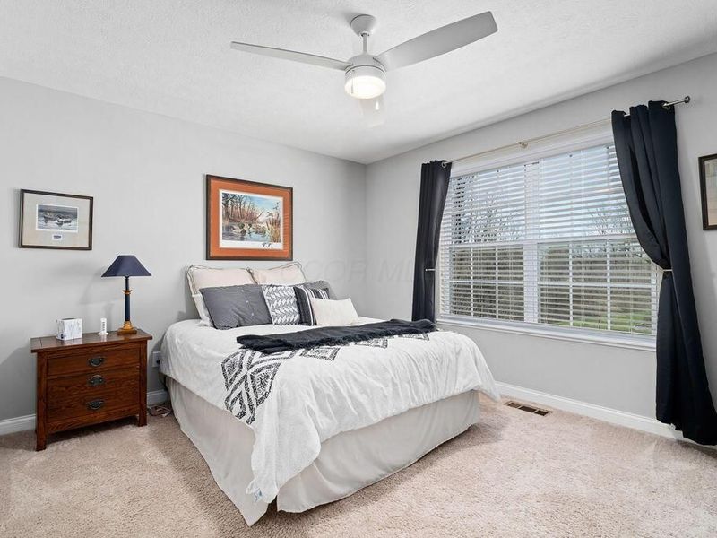 6207 Weeping Rock Drive, Lewis Center, OH 43035 Photo 29