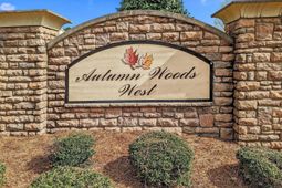 251 Meadow Saffron Drive  photo 4