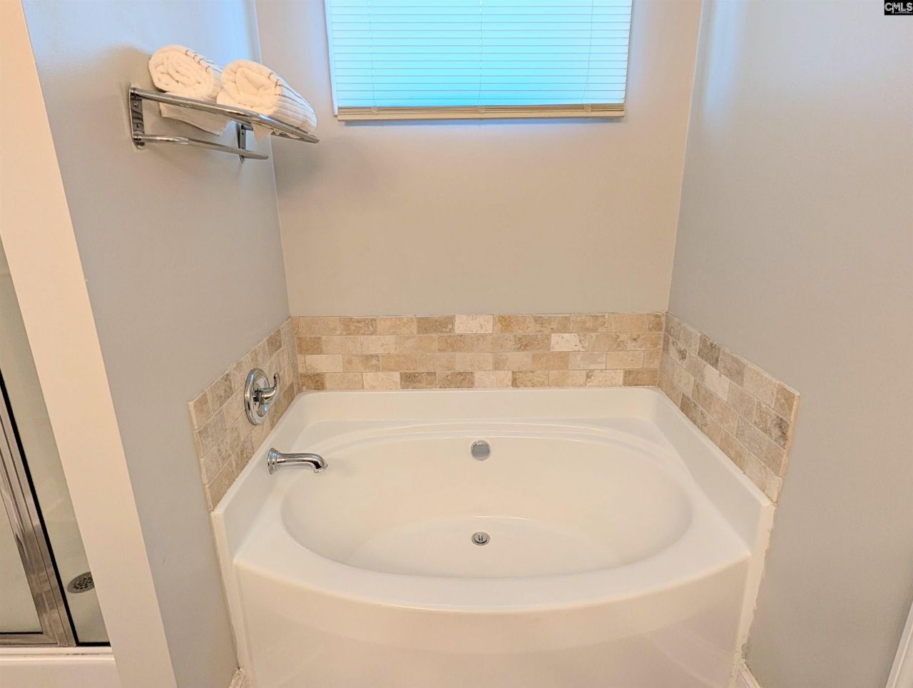 251 Meadow Saffron Drive  Photo 20