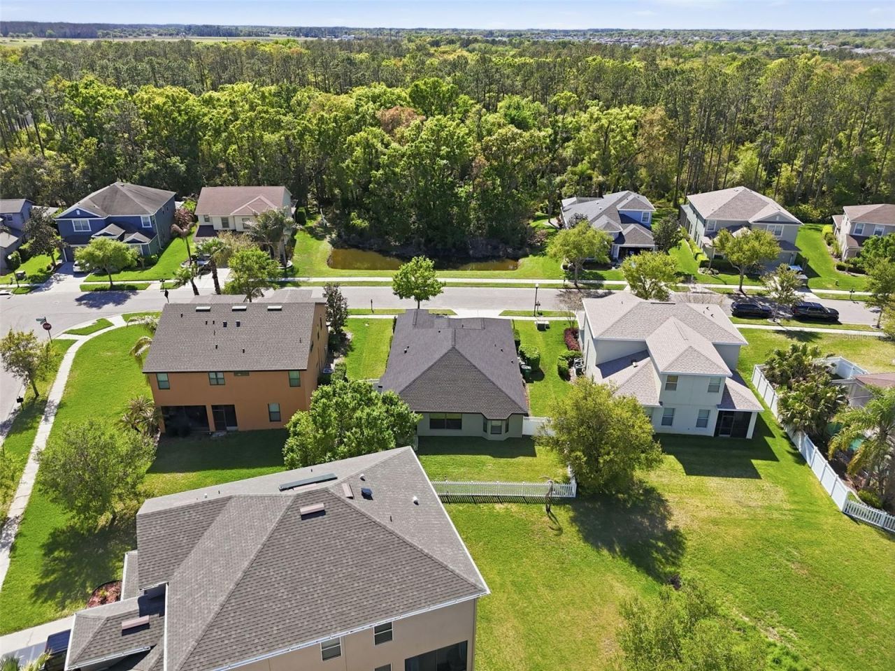 32111 Garden Alcove Loop, Wesley Chapel, FL 33545 Photo