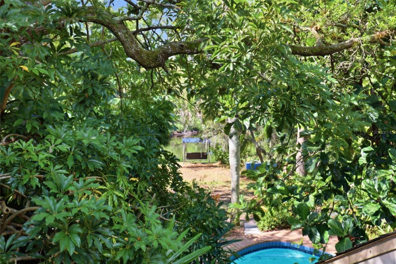 7336 Curlew Street, Sarasota, FL 34241 Photo