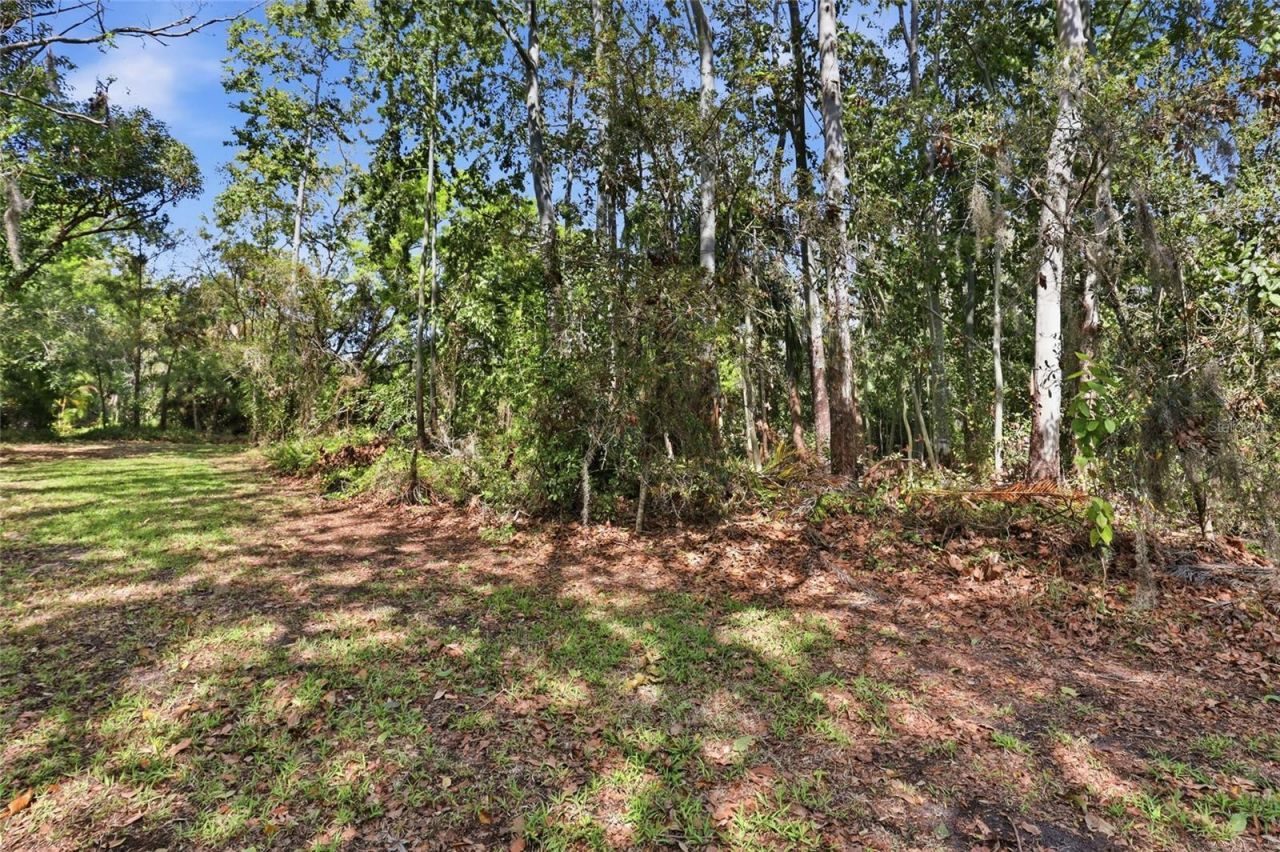 7336 Curlew Street, Sarasota, FL 34241 Photo