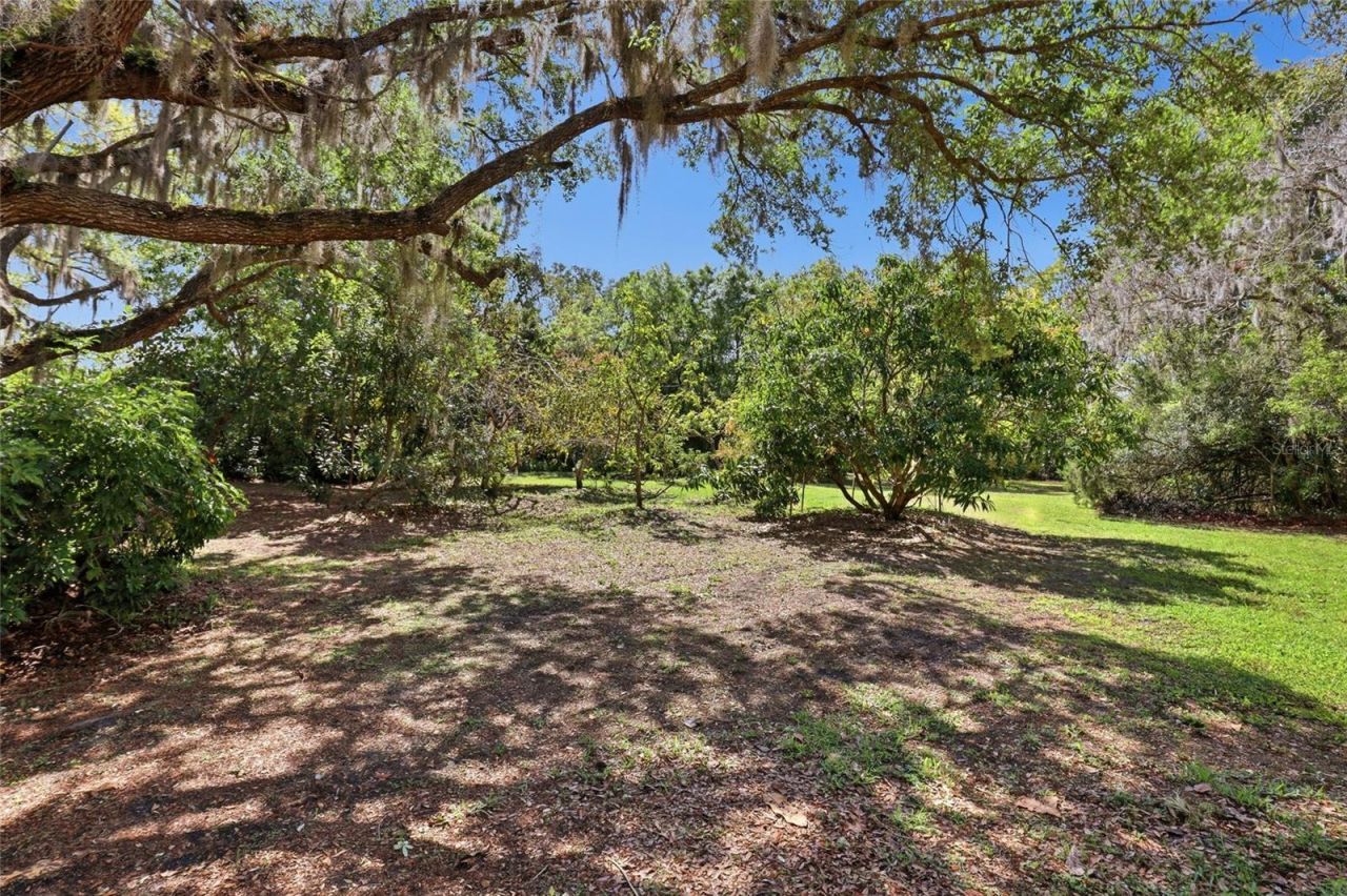 7336 Curlew Street, Sarasota, FL 34241 Photo