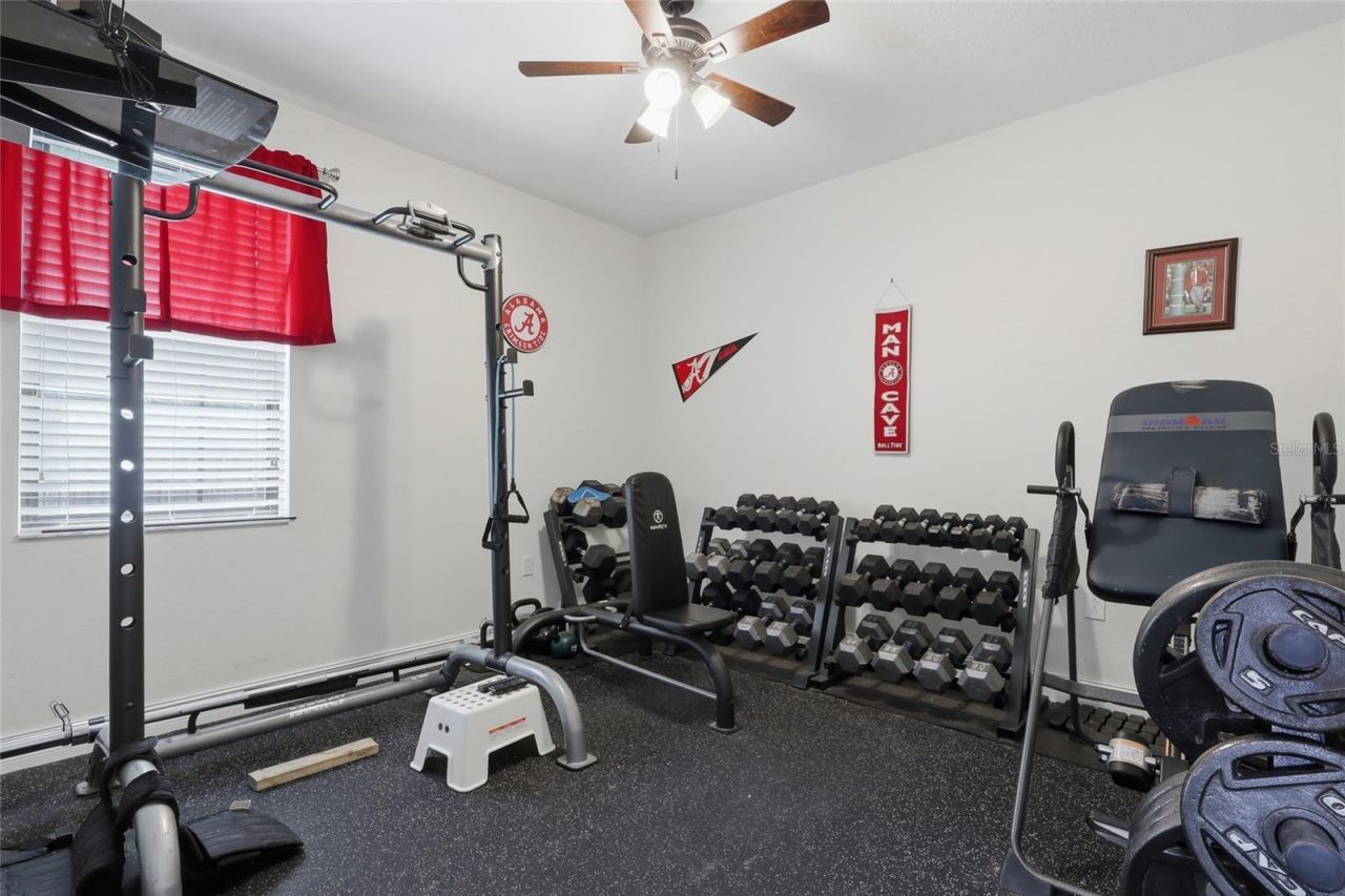 326 Star Shell Drive, Apollo Beach, FL 33572 Photo