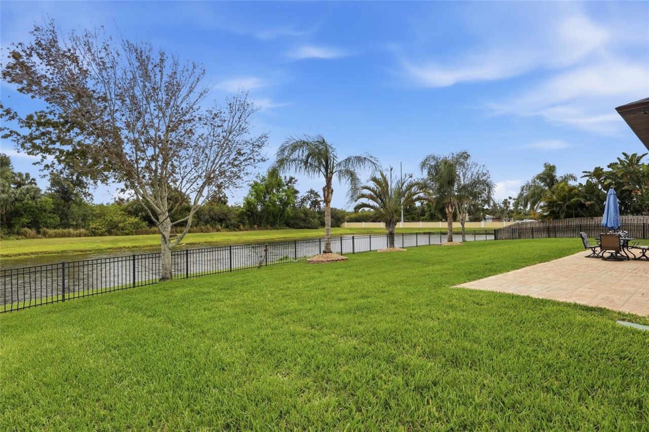 326 Star Shell Drive, Apollo Beach, FL 33572 Photo