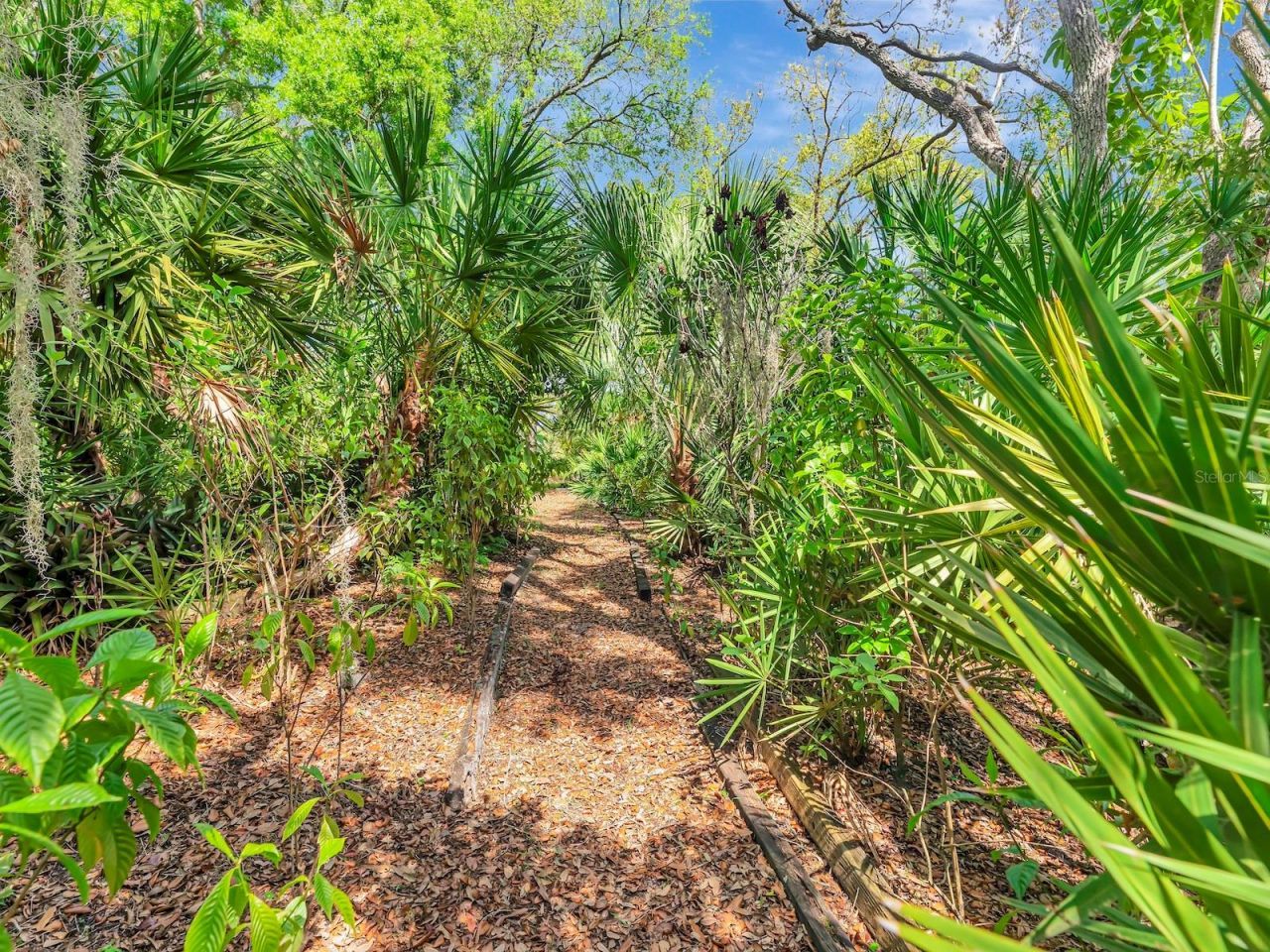 1955 Sandalwood Place, Clearwater, FL 33760 Photo