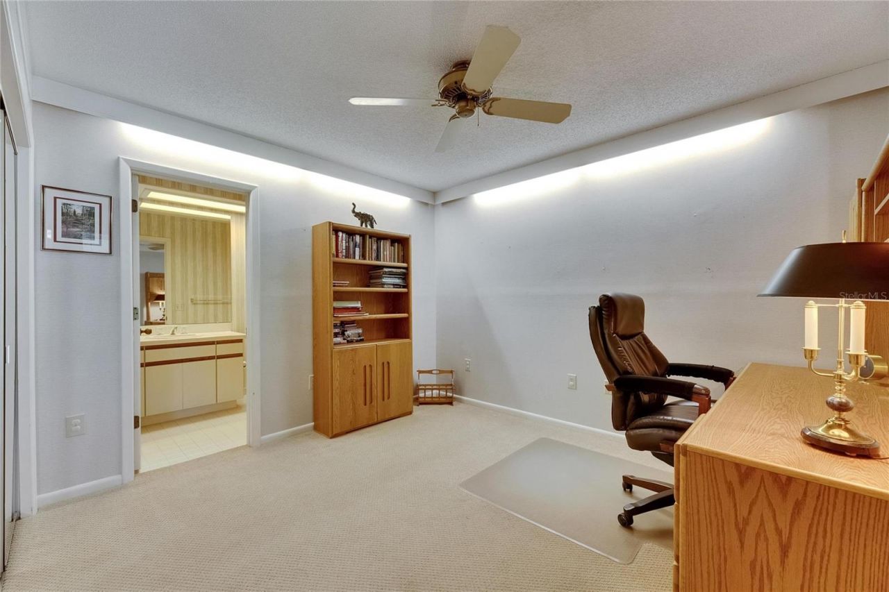 29903 Baywood Lane , Wesley Chapel, FL 33543 Photo