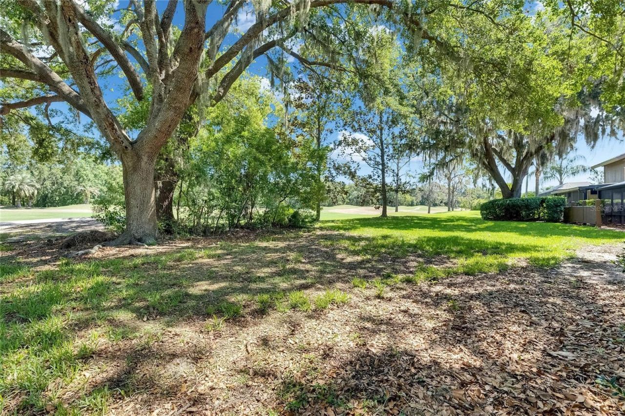 29903 Baywood Lane , Wesley Chapel, FL 33543 Photo