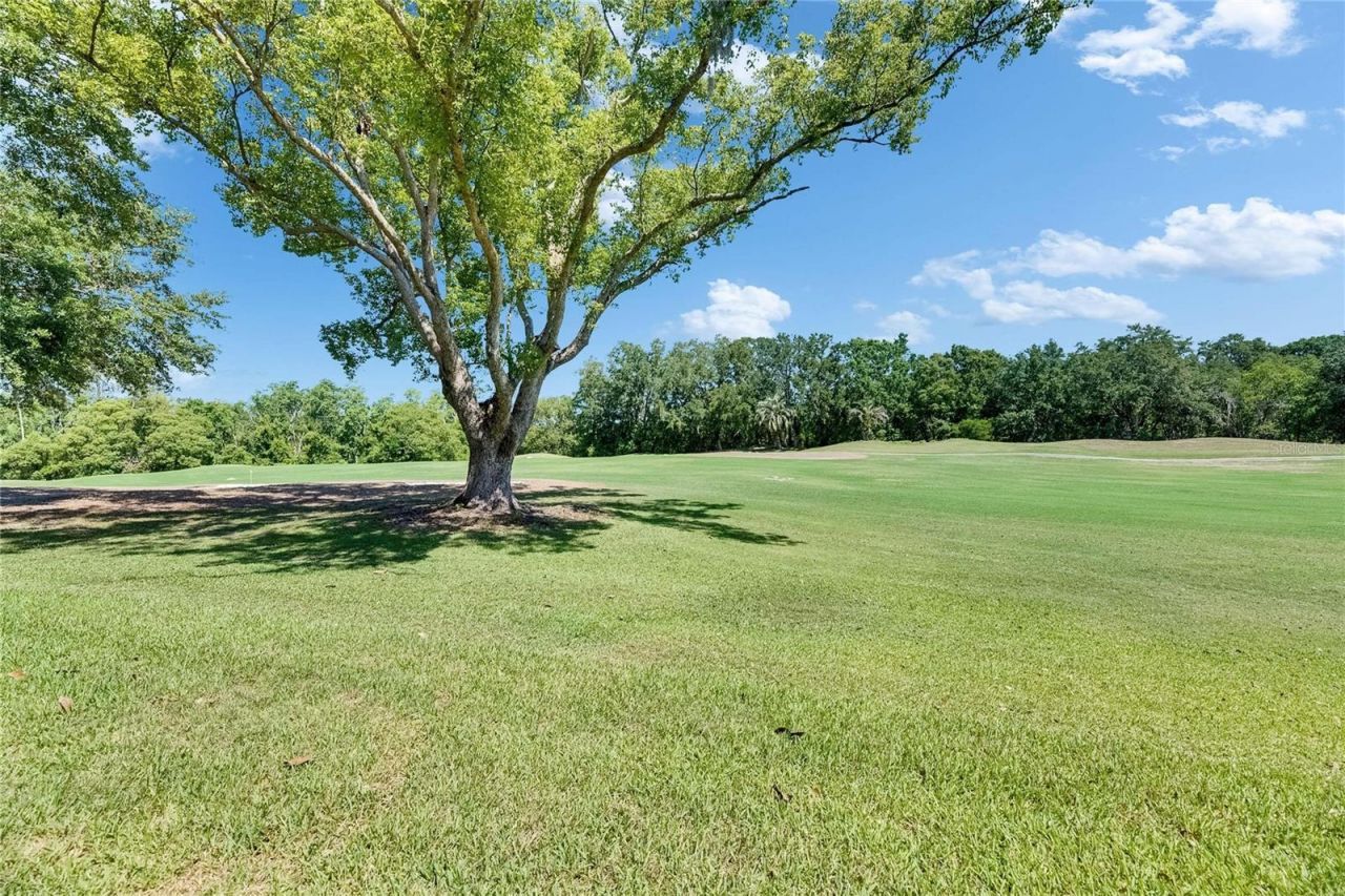 29903 Baywood Lane , Wesley Chapel, FL 33543 Photo