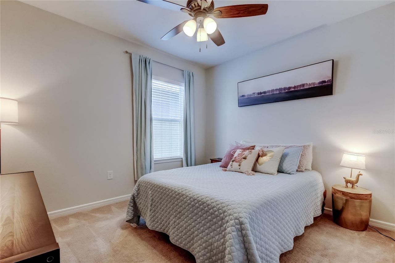 6364 Dutton Drive, Wesley Chapel, FL 33545 Photo