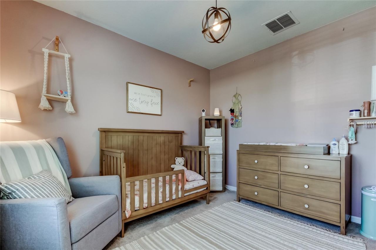 6364 Dutton Drive, Wesley Chapel, FL 33545 Photo