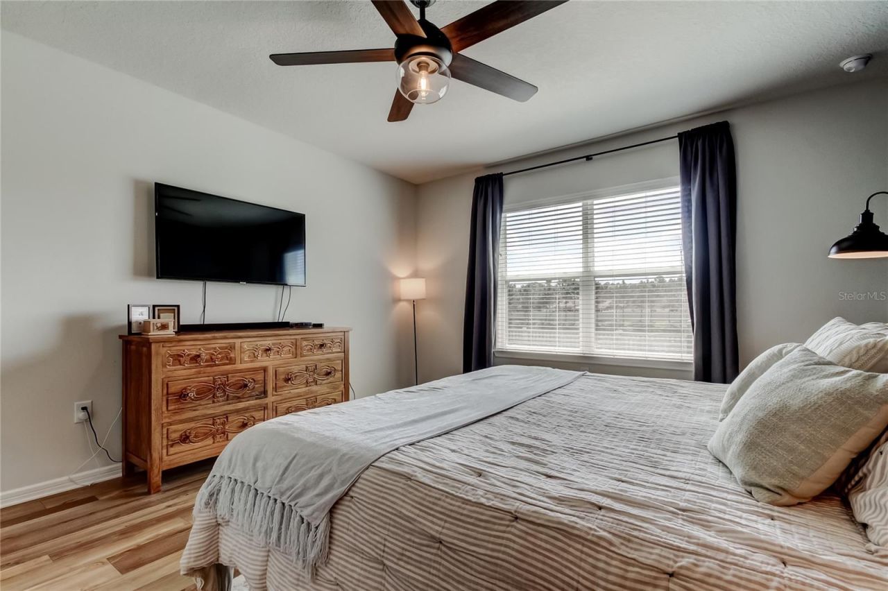 6364 Dutton Drive, Wesley Chapel, FL 33545 Photo