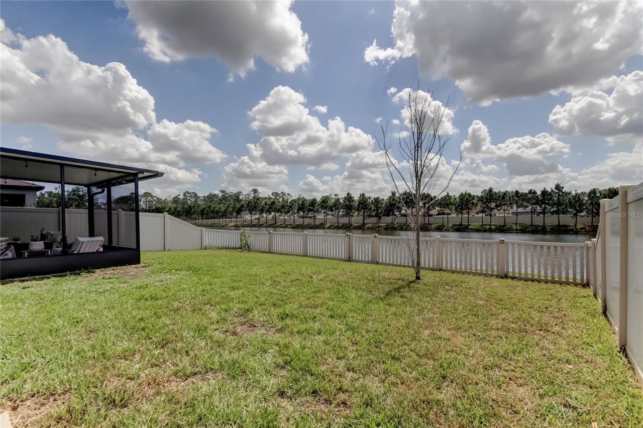 6364 Dutton Drive, Wesley Chapel, FL 33545 Photo