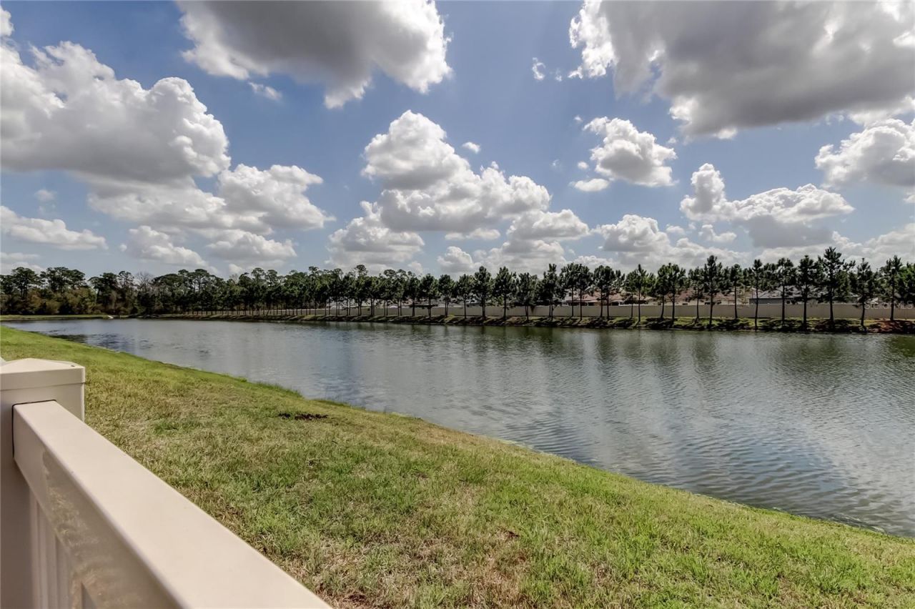 6364 Dutton Drive, Wesley Chapel, FL 33545 Photo