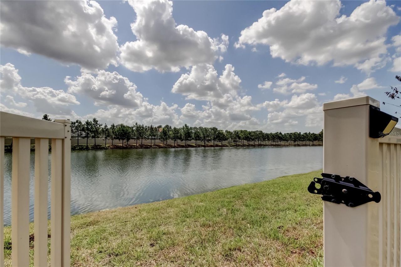 6364 Dutton Drive, Wesley Chapel, FL 33545 Photo