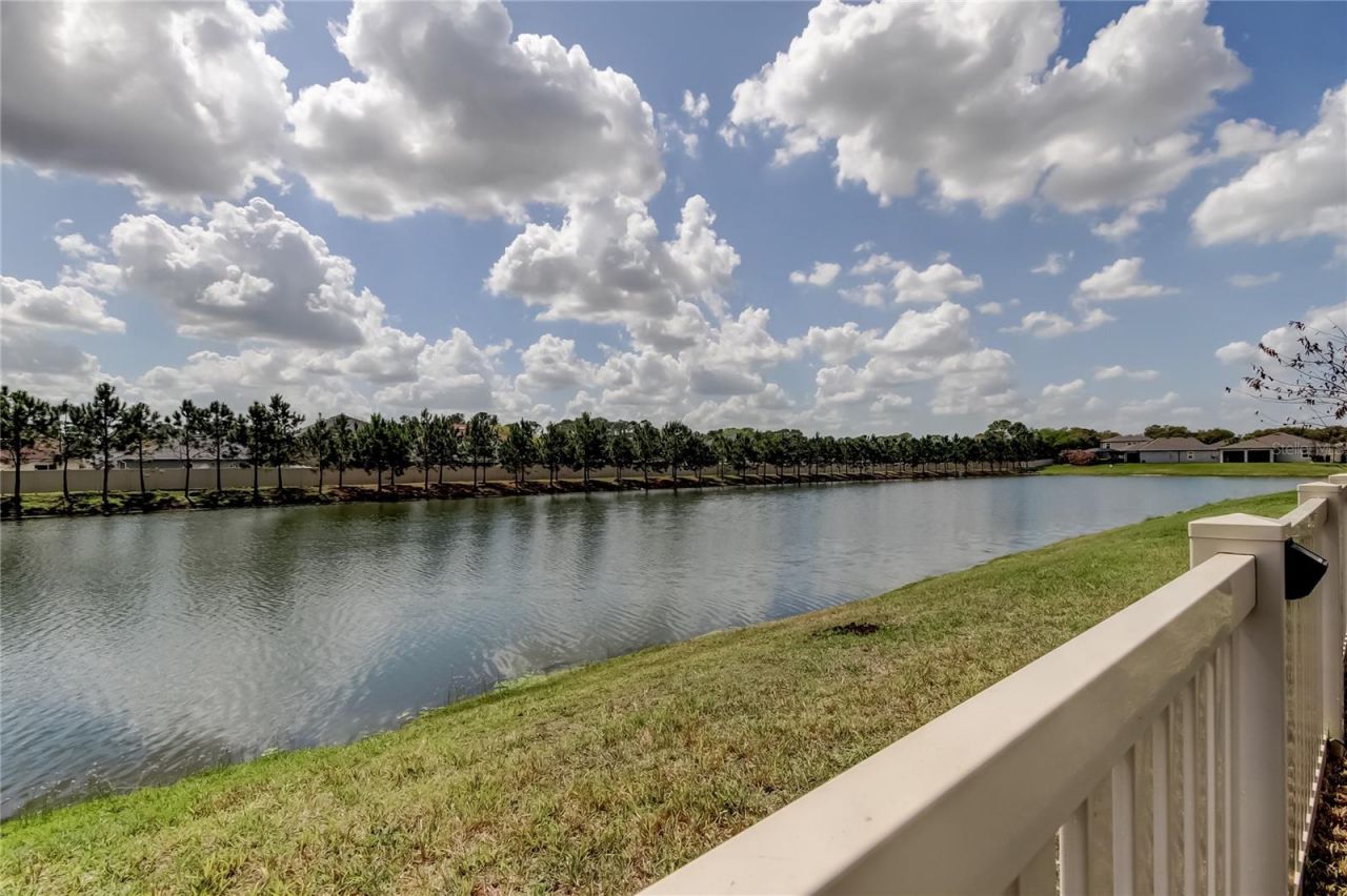 6364 Dutton Drive, Wesley Chapel, FL 33545 Photo