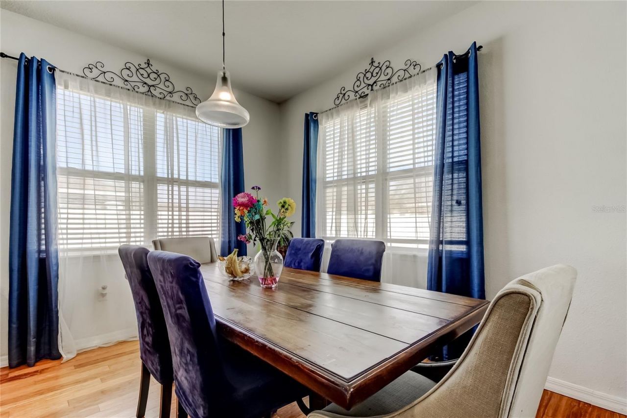 30623 Casewell Place, Wesley Chapel, FL 33545 Photo