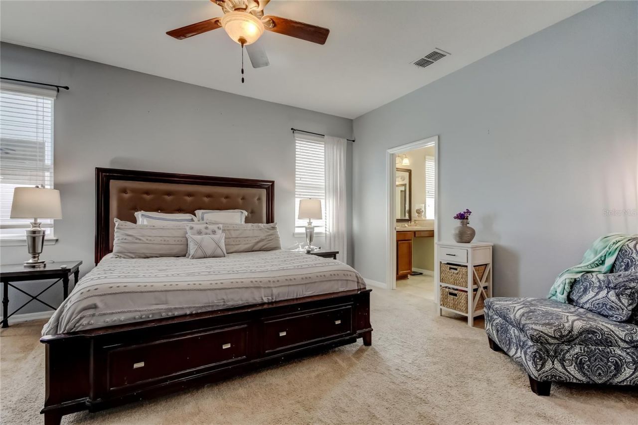 30623 Casewell Place, Wesley Chapel, FL 33545 Photo