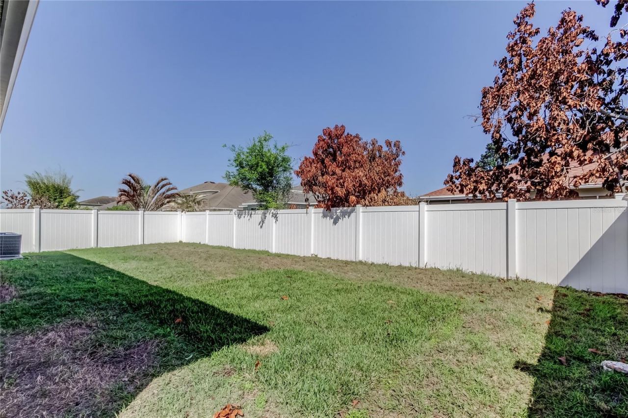 30623 Casewell Place, Wesley Chapel, FL 33545 Photo