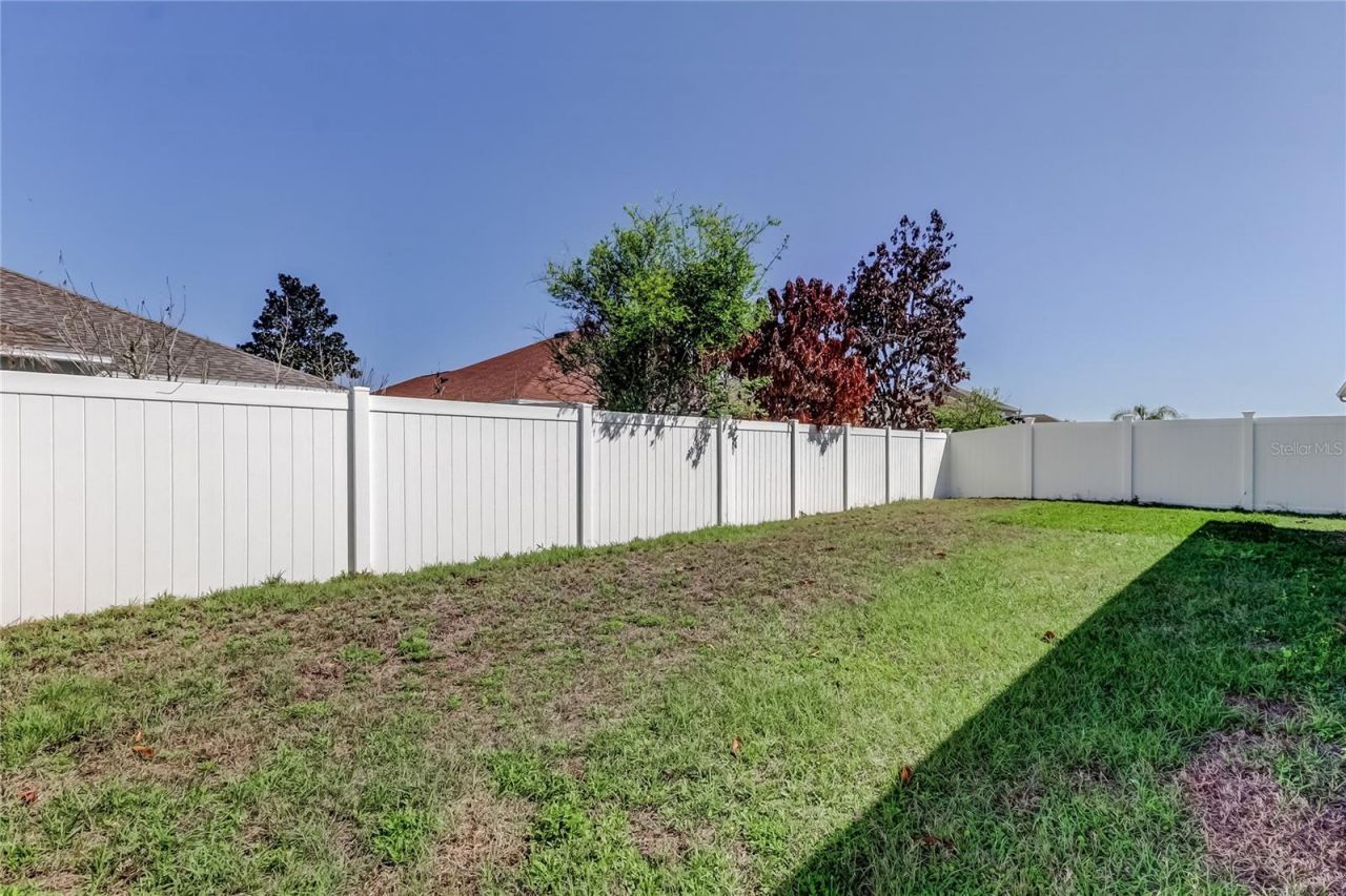 30623 Casewell Place, Wesley Chapel, FL 33545 Photo