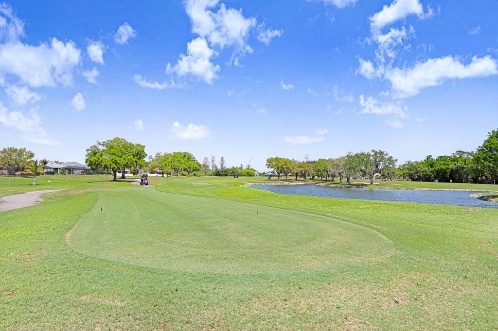 8251 Tea Olive Terrace, Palmetto, FL 34221 Photo