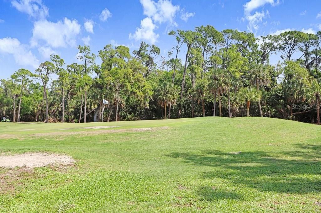 8251 Tea Olive Terrace, Palmetto, FL 34221 Photo