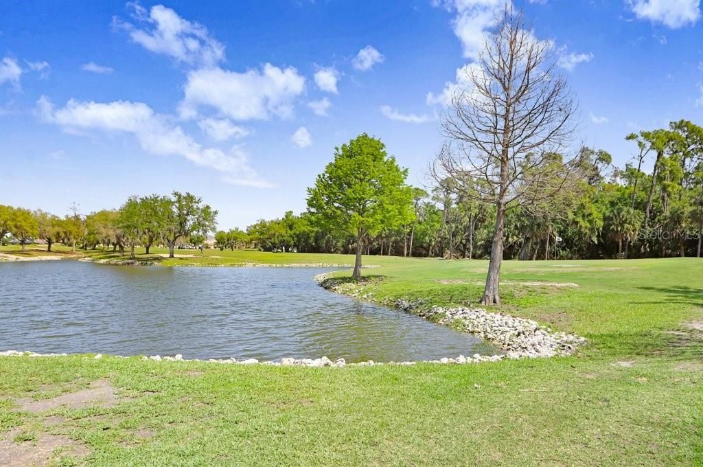 8251 Tea Olive Terrace, Palmetto, FL 34221 Photo