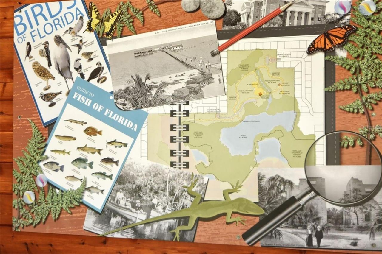 5109 Palm Aire Drive, Sarasota, FL 34243 Photo